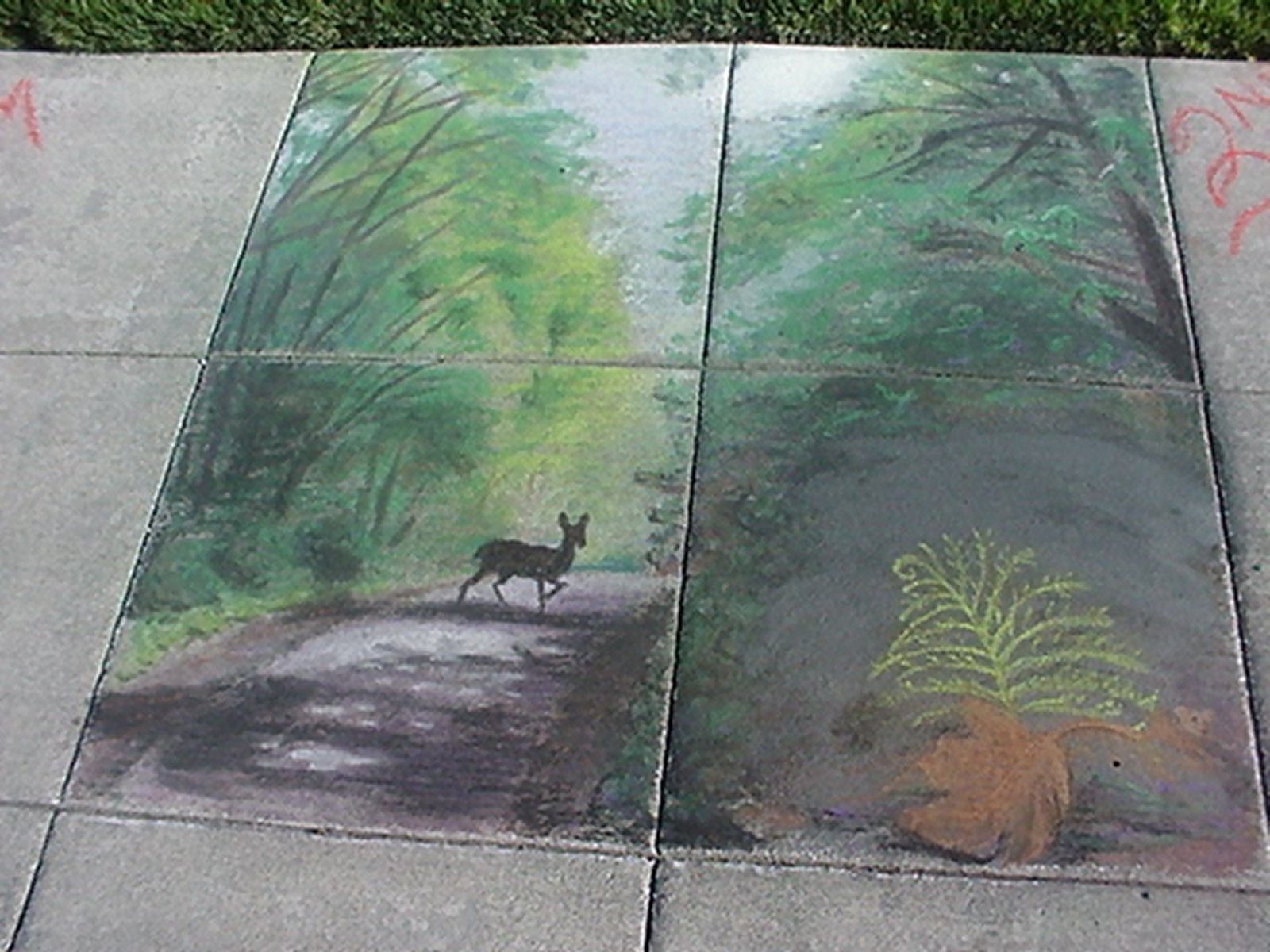 2005: Cedar River trail