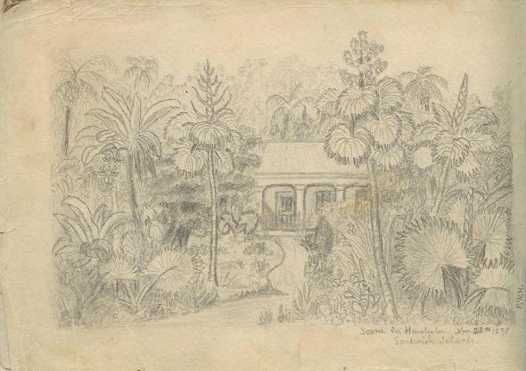 sketch 09 : Honolulu 