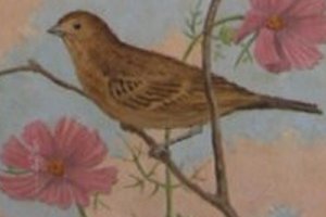 painting: Birds and blossoms